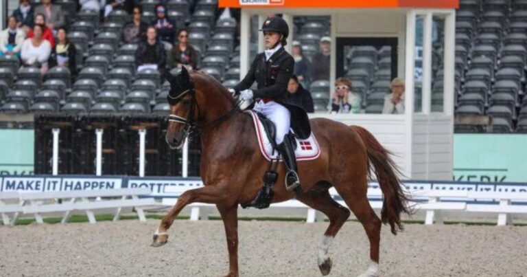 cathrine dufour tanzt mit ihrem star cassidy von atterupgaard