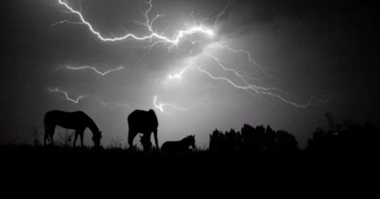 horses in thunderstorms is a scary thing
