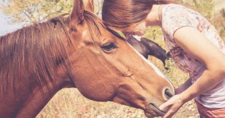 6 anzeichen dafür, wie eng du mit deinem pferd verbunden bist