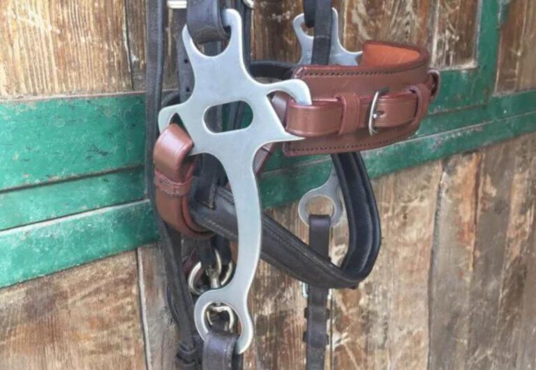 die hackamore kann als gebisslose alternative zum reiten mit gebiss verwendet werden. foto archiv.