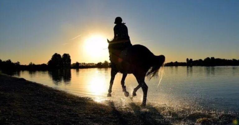 reiten am wasserufer. foto archiv