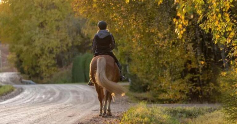 reiten in der natur foto archiv.