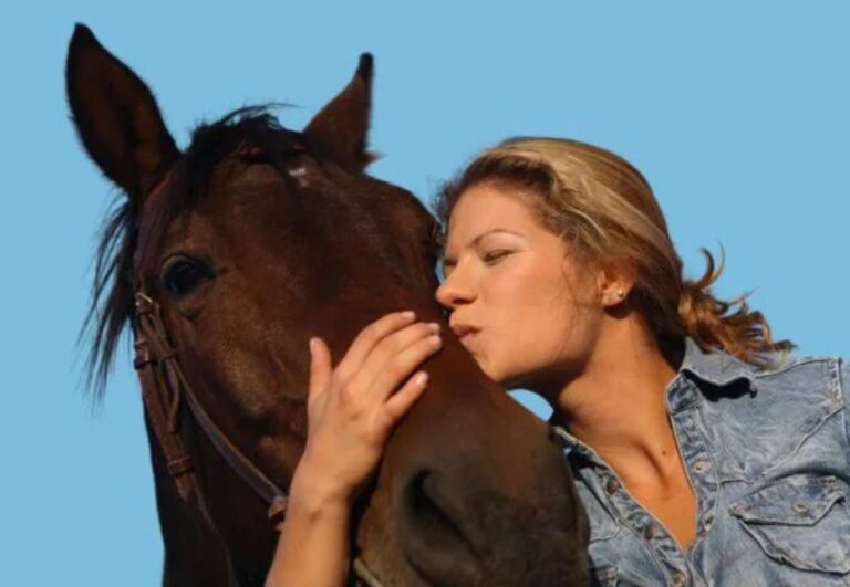 die beziehung zwischen einem pferd und seinem besitzer oder reiter kann etwas ganz besonderes sein. foto archiv.