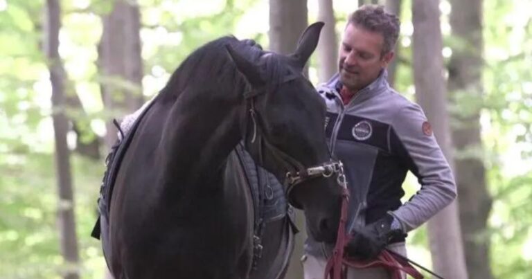 Hier erhalten Sie einen Einblick in Claus Toftgaards Herangehensweise an Pferde. Die Bilder hier zeigen ihn mit dem 4-jährigen Wallach New Carlos Selection, Nachkomme von Negro. Foto: Rid Bedre TV.