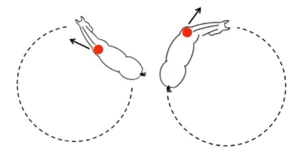 grafik marijke de jong