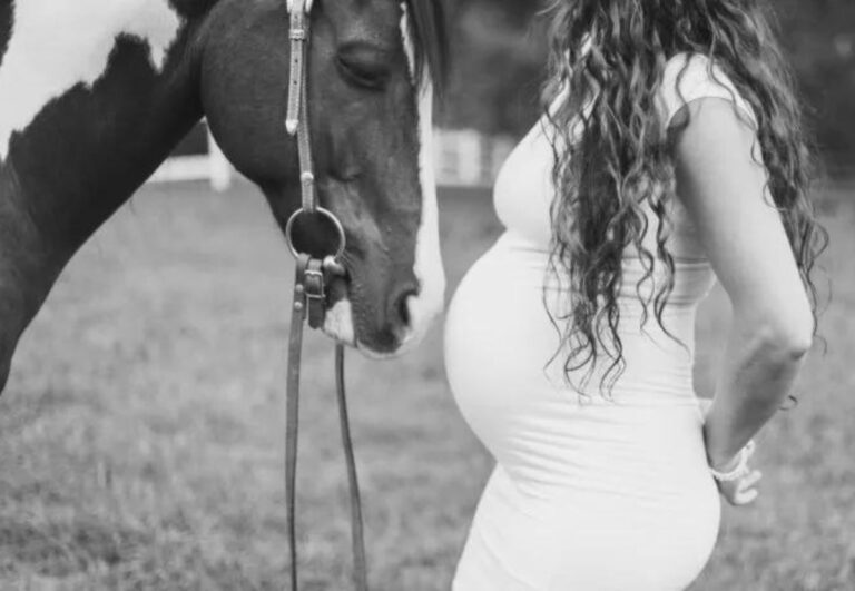 mit vorsicht und vernünftigen vorkehrungen können sie auch während der schwangerschaft weiterhin reiten. foto archiv