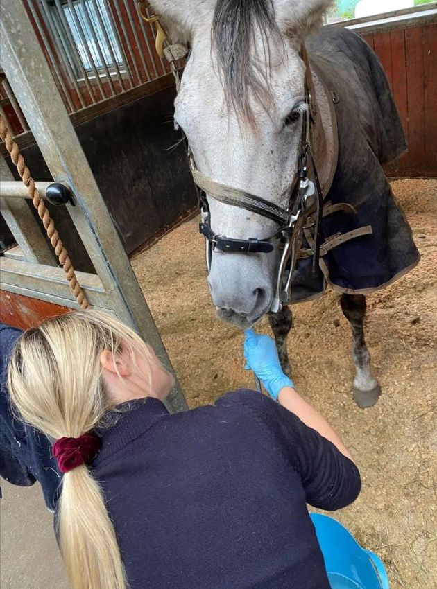 christina aggerholm hat mehrjaehrige erfahrung als tieraerztin im in und ausland. foto privat